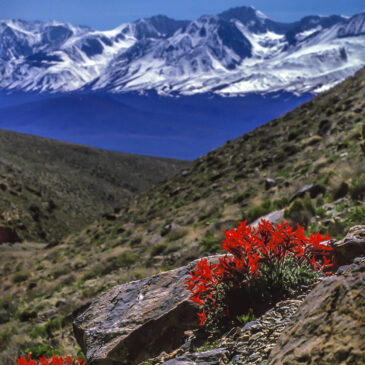 High Sierra Environment – 15 April 2005