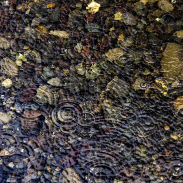 Rain – 11 March 2026