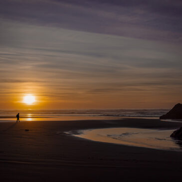 Evening Stroll – Cape Disappointment 27 February 2025